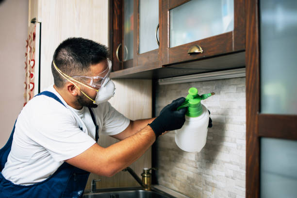 Best Exterminator Services  in Eastwood, LA