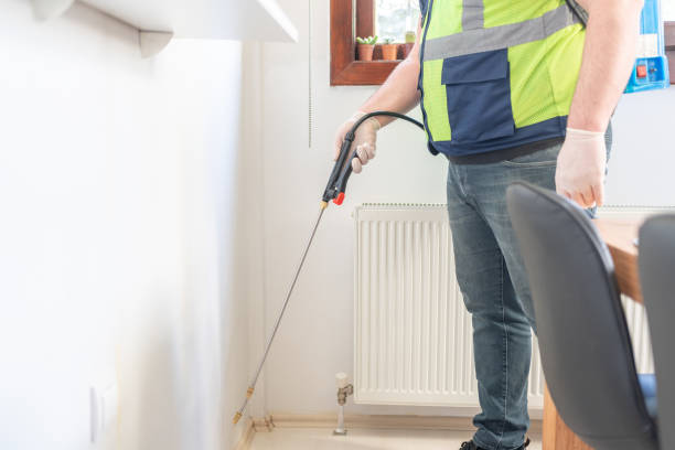 Best Cockroach Control Services  in Eastwood, LA