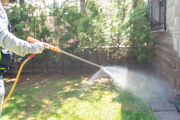 Reliable Eastwood, LA Pest Control Solutions