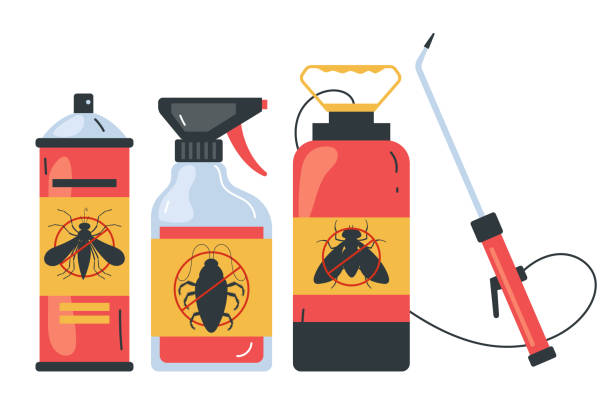 Best Bed Bug Extermination  in Eastwood, LA