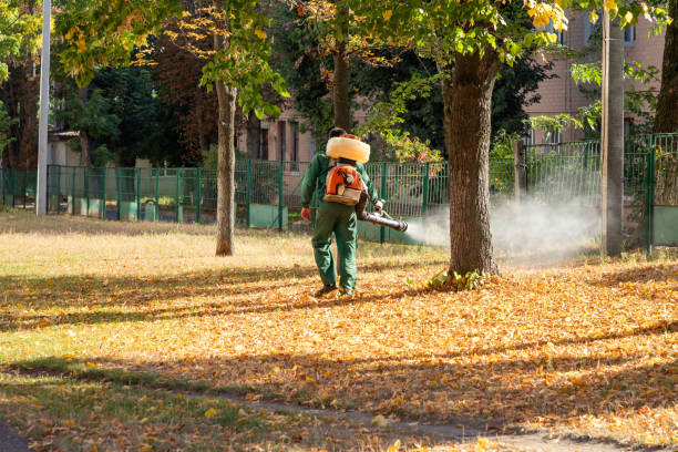 Best Pest Prevention Services  in Eastwood, LA