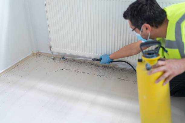 Best Wildlife Control Services  in Eastwood, LA
